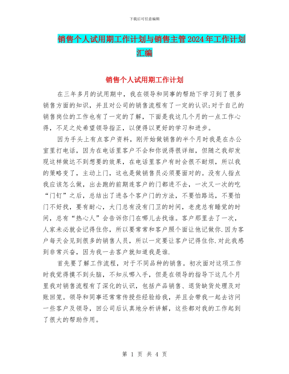 销售个人试用期工作计划与销售主管2024年工作计划汇编_第1页