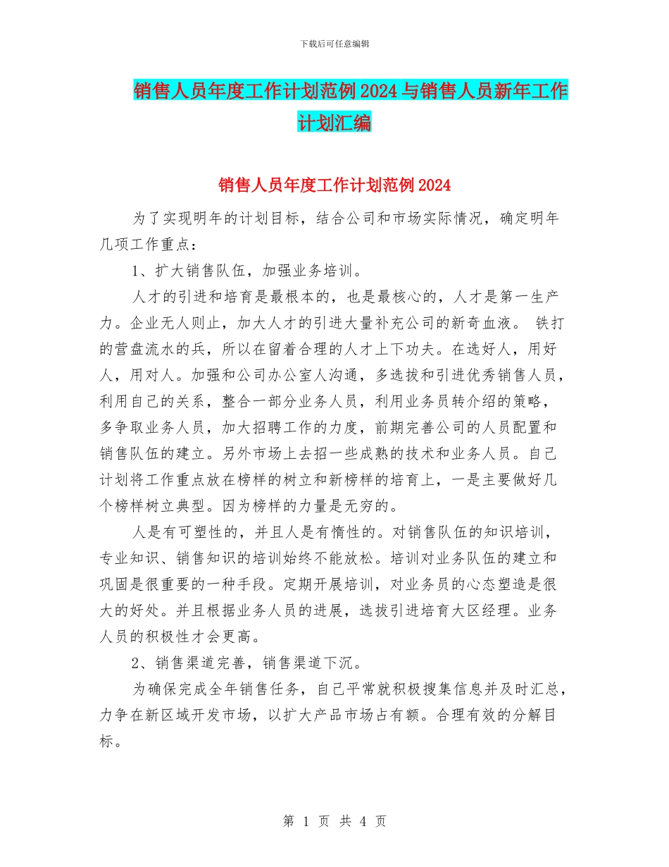 销售人员年度工作计划范例2024与销售人员新年工作计划汇编_第1页