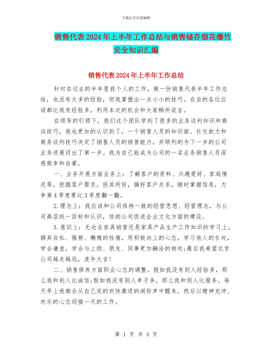 销售代表2024年上半年工作总结与销售储存烟花爆竹安全知识汇编_第1页