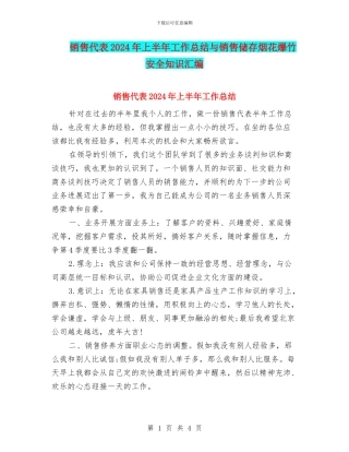 销售代表2024年上半年工作总结与销售储存烟花爆竹安全知识汇编