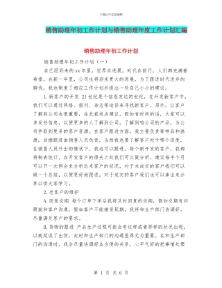 销售助理年初工作计划与销售助理年度工作计划汇编