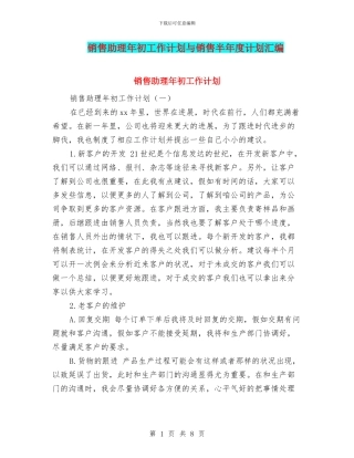 销售助理年初工作计划与销售半年度计划汇编