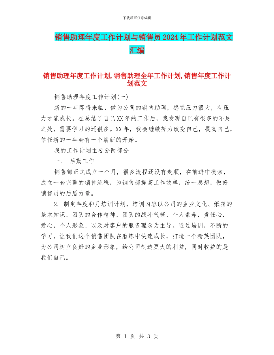 销售助理年度工作计划与销售员2024年工作计划范文汇编_第1页