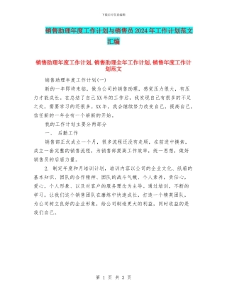 销售助理年度工作计划与销售员2024年工作计划范文汇编