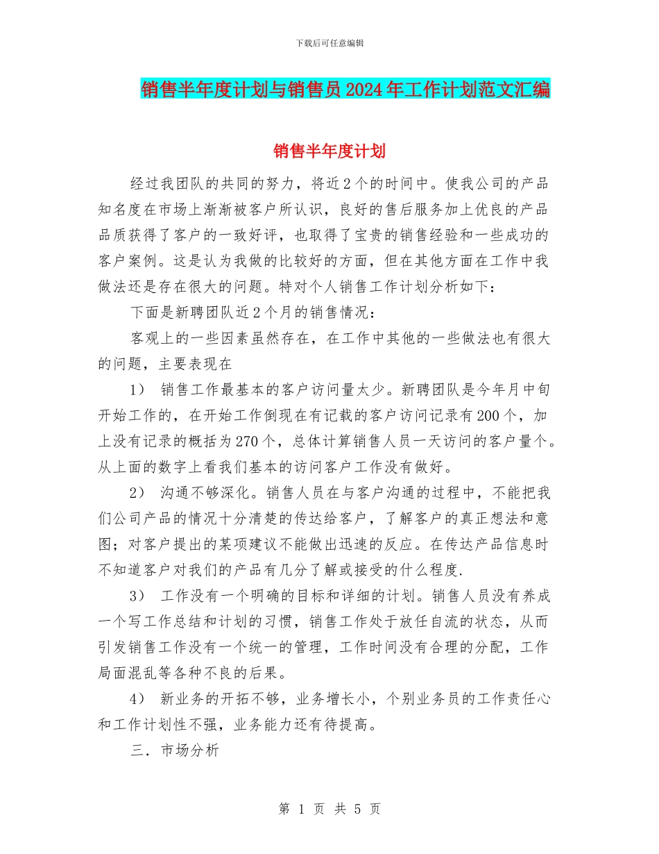 销售半年度计划与销售员2024年工作计划范文汇编_第1页