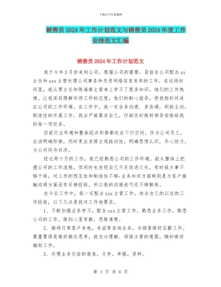 销售员2024年工作计划范文与销售员2024年度工作安排范文汇编