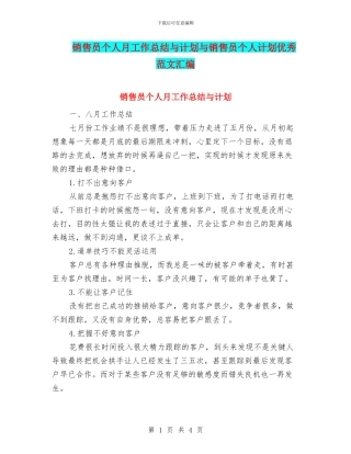 销售员个人月工作总结与计划与销售员个人计划优秀范文汇编