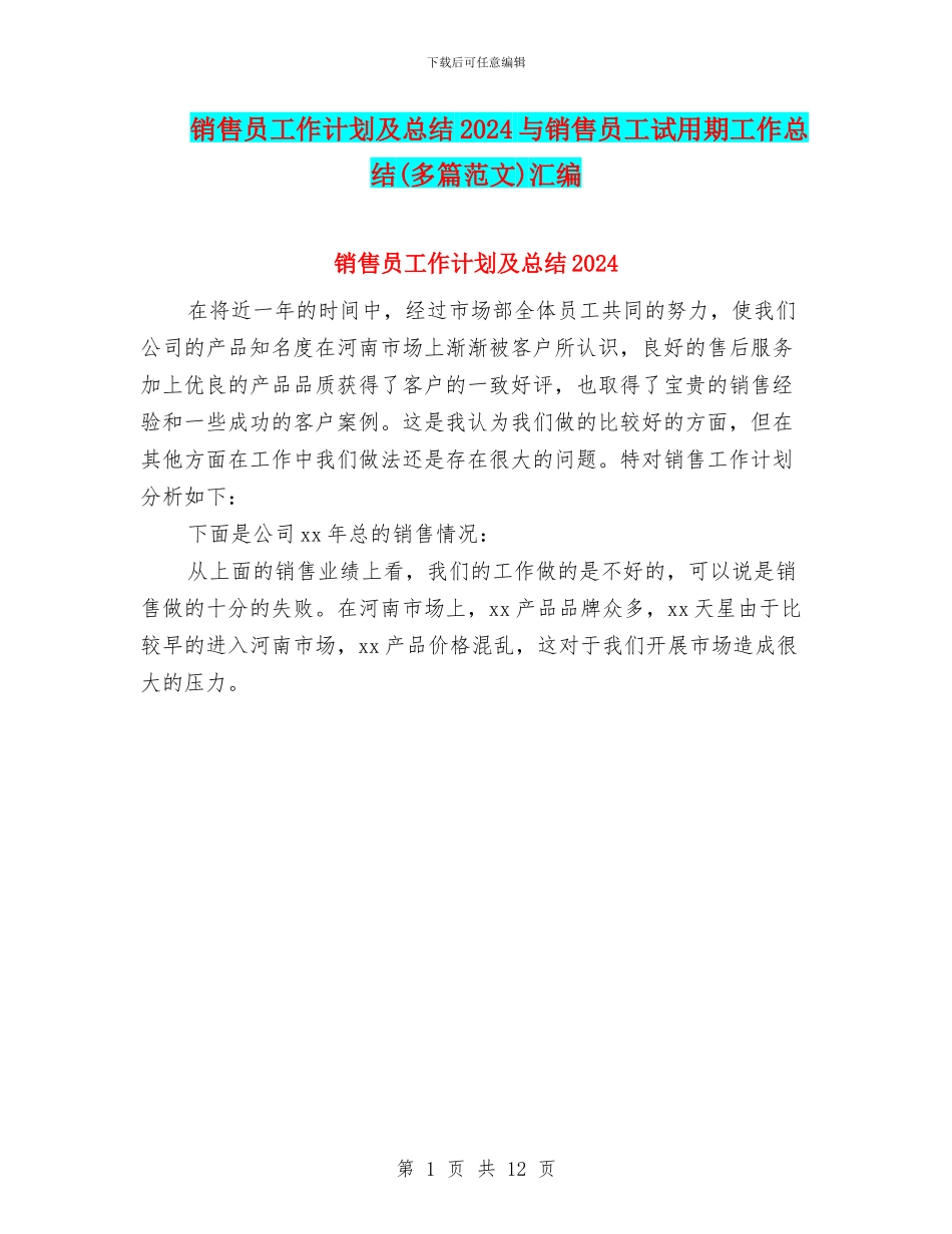 销售员工作计划及总结2024与销售员工试用期工作总结汇编_第1页