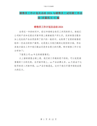 销售员工作计划及总结2024与销售员工试用期工作总结汇编