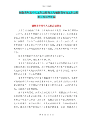 销售员年度个人工作总结范文与销售员年度工作总结怎么写范文汇编