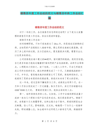 销售员年度工作总结的范文与销售员年终工作总结汇编