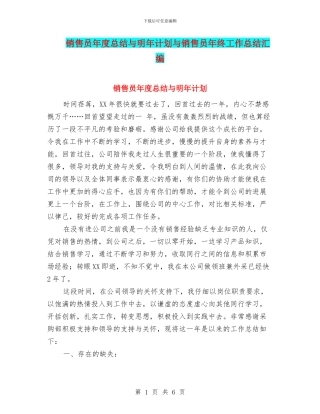 销售员年度总结与明年计划与销售员年终工作总结汇编