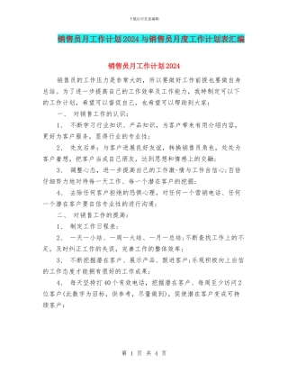销售员月工作计划2024与销售员月度工作计划表汇编