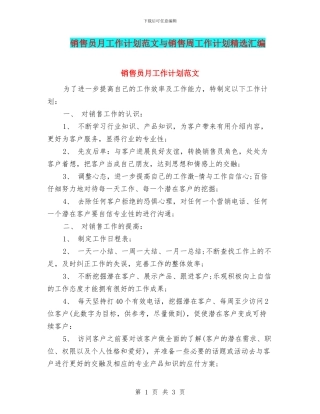 销售员月工作计划范文与销售周工作计划精选汇编