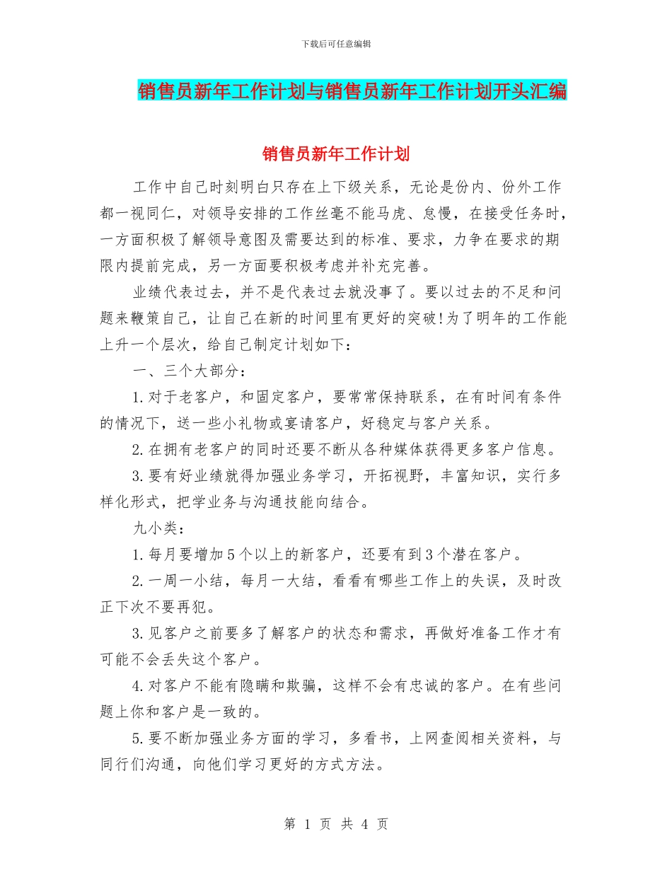 销售员新年工作计划与销售员新年工作计划开头汇编_第1页