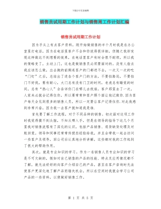 销售员试用期工作计划与销售周工作计划汇编