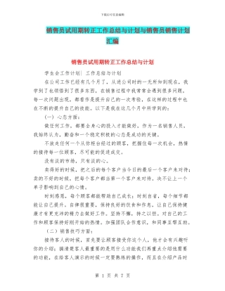 销售员试用期转正工作总结与计划与销售员销售计划汇编