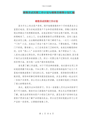销售员试用期工作计划与销售员销售计划汇编