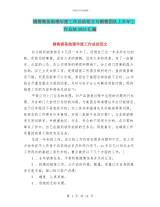 销售商务助理年度工作总结范文与销售团队上半年工作总结2024汇编