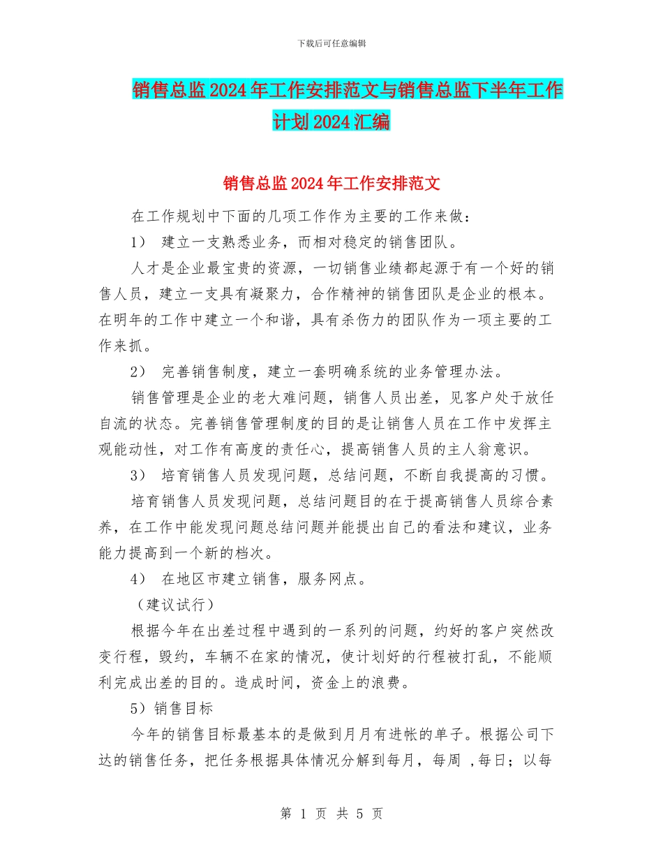 销售总监2024年工作安排范文与销售总监下半年工作计划2024汇编_第1页