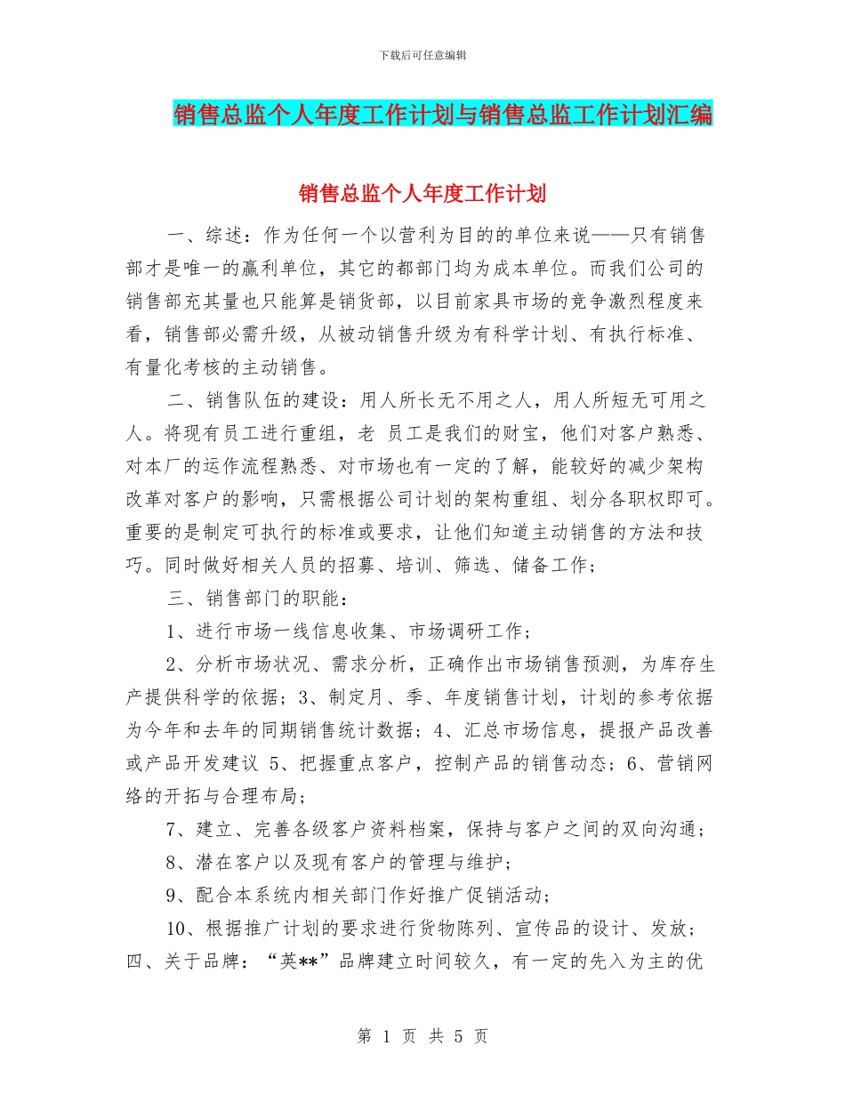 销售总监个人年度工作计划与销售总监工作计划汇编_第1页