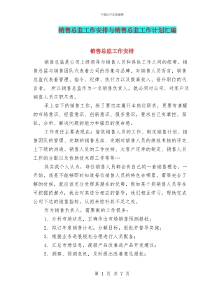 销售总监工作安排与销售总监工作计划汇编