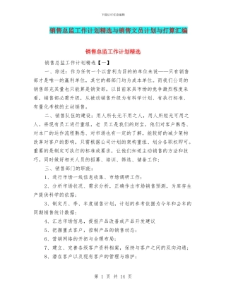 销售总监工作计划精选与销售文员计划与打算汇编