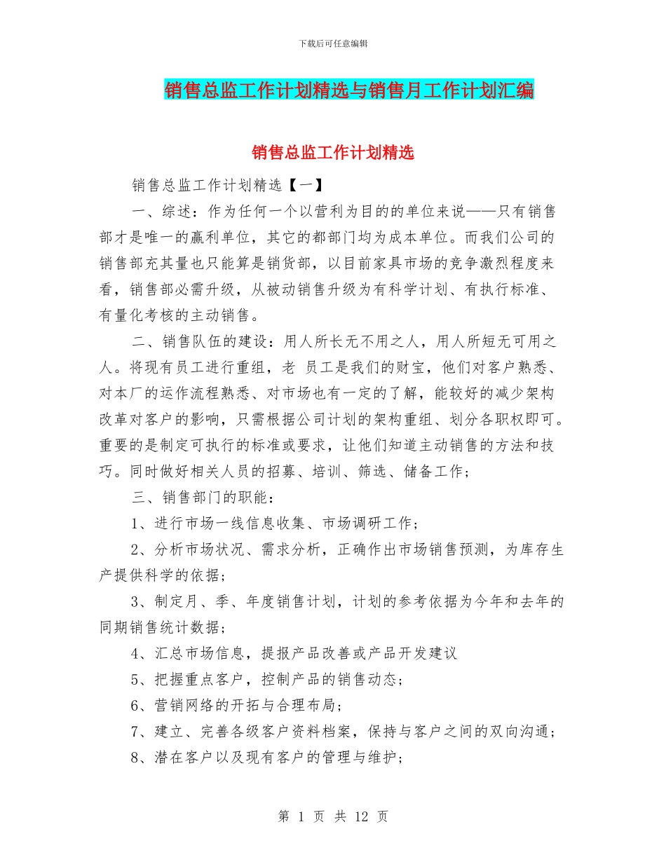 销售总监工作计划精选与销售月工作计划汇编_第1页