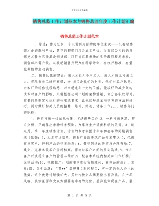 销售总监工作计划范本与销售总监年度工作计划汇编