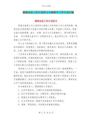 销售总监工作计划范文与销售月工作计划汇编