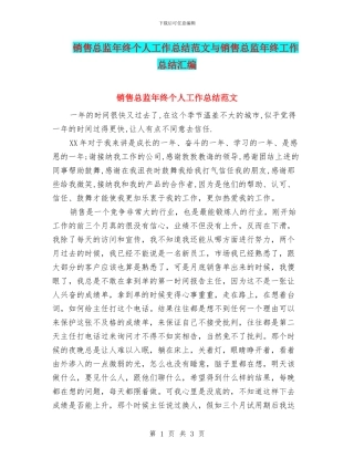 销售总监年终个人工作总结范文与销售总监年终工作总结汇编