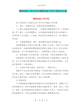销售总监工作计划与销售总监工作计划范文汇编