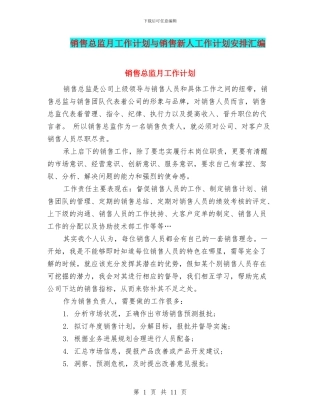销售总监月工作计划与销售新人工作计划安排汇编