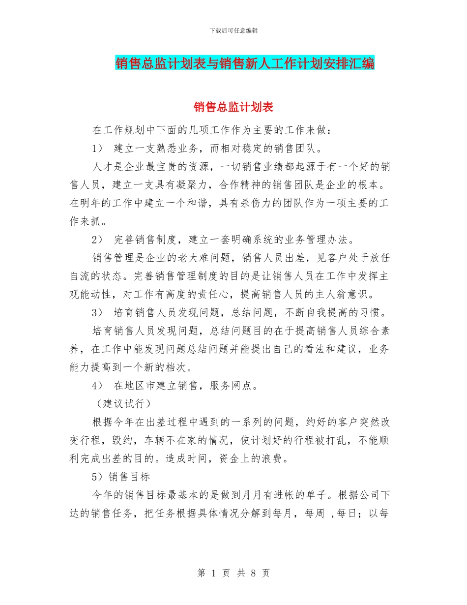 销售总监计划表与销售新人工作计划安排汇编_第1页