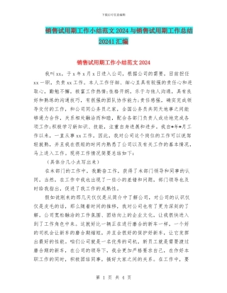 销售试用期工作小结范文2024与销售试用期工作总结20241汇编