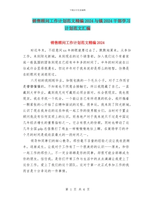 销售顾问工作计划范文精编2024与镇2024干部学习计划范文汇编
