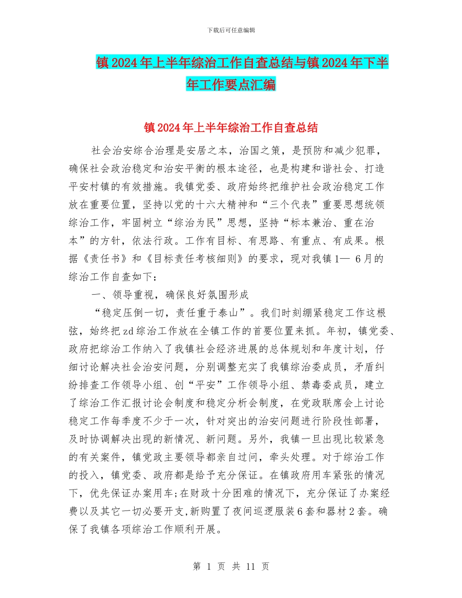镇2024年上半年综治工作自查总结与镇2024年下半年工作要点汇编_第1页