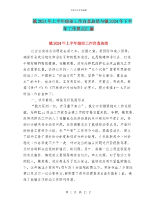 镇2024年上半年综治工作自查总结与镇2024年下半年工作要点汇编