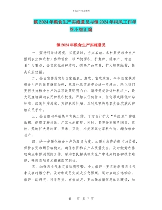 镇2024年粮食生产实施意见与镇2024年纠风工作年终小结汇编