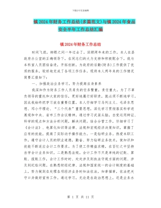 镇2024年财务工作总结与镇2024年食品安全半年工作总结汇编