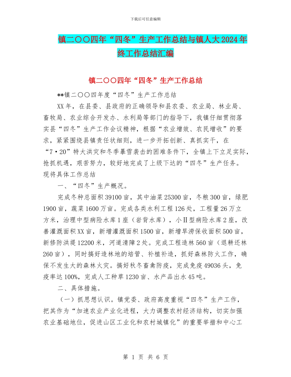 镇二○○四年“四冬”生产工作总结与镇人大2024年终工作总结汇编_第1页