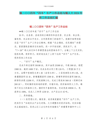 镇二○○四年“四冬”生产工作总结与镇人大2024年终工作总结汇编