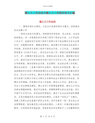 镇人大工作总结与镇人大工作报告范文汇编