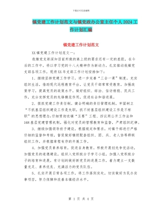 镇党建工作计划范文与镇党政办公室主任个人2024工作计划汇编