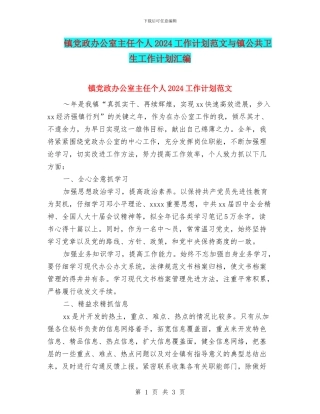 镇党政办公室主任个人2024工作计划范文与镇公共卫生工作计划汇编