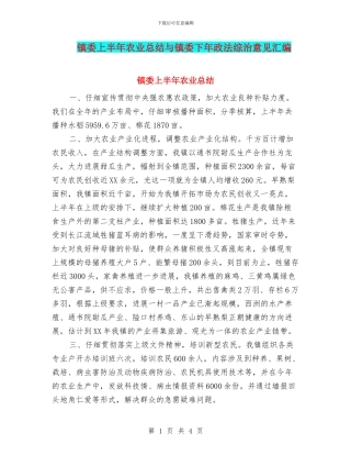 镇委上半年农业总结与镇委下年政法综治意见汇编
