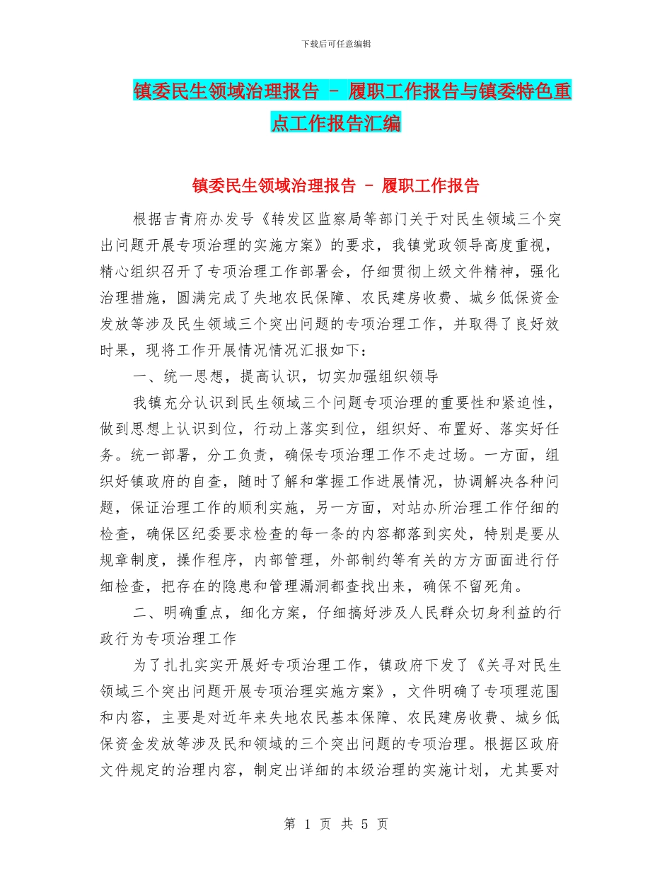 镇委民生领域治理报告_第1页