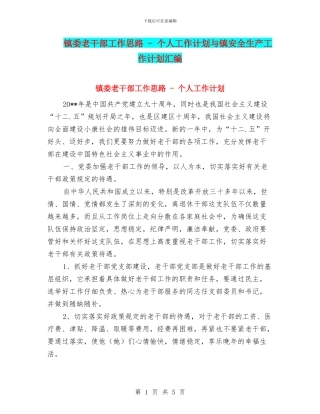 镇委老干部工作思路---个人工作计划与镇安全生产工作计划汇编
