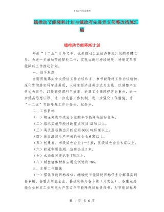 镇推进节能降耗计划与镇政府先进党支部整改措施汇编