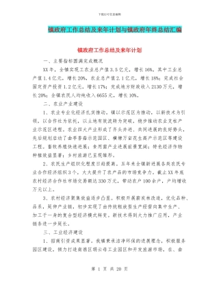 镇政府工作总结及来年计划与镇政府年终总结汇编